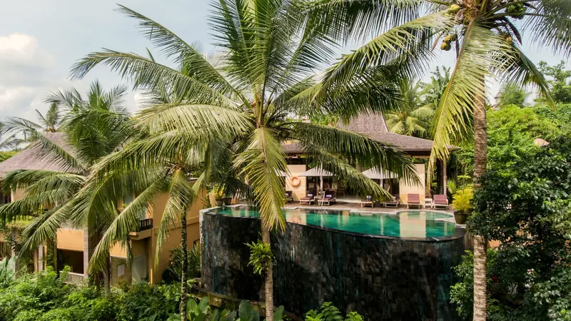 An infinity pool at a villa looking out over palms and jungle